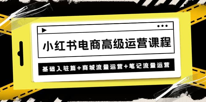 小红书电商高级运营课程：基础入驻篇 商城流量运营 笔记流量运营-先锋思维