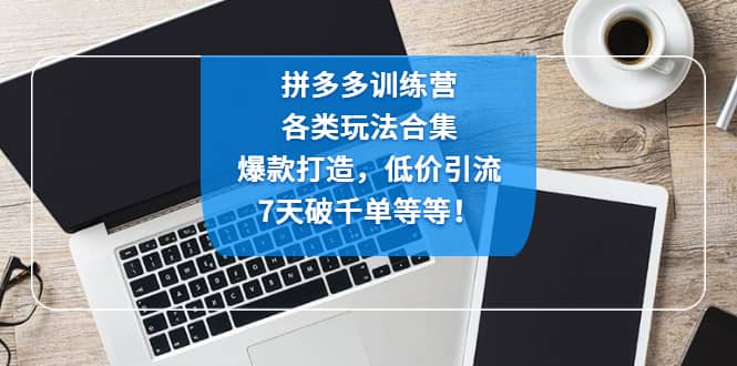 拼多多训练营：各玩法合集，爆款打造，低价引流，7天破千单等等-先锋思维