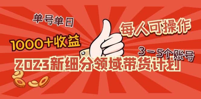 2023新细分领域带货计划：单号单日1000 收益不难，每人可操作3-5个账号-先锋思维