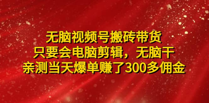 无脑视频号搬砖带货，只要会电脑剪辑，无脑干-先锋思维