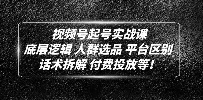 视频号起号实战课：底层逻辑 人群选品 平台区别 话术拆解 付费投放等-先锋思维