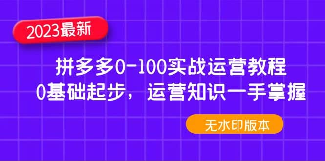 2023拼多多0-100实战运营教程，0基础起步，运营知识一手掌握（无水印）-先锋思维