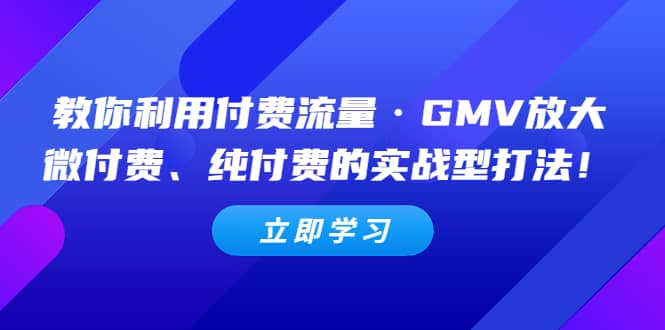 教你利用付费流量·GMV放大，微付费、纯付费的实战型打法-先锋思维