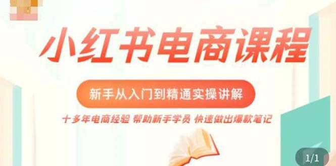 小红书电商新手入门到精通实操课，从入门到精通做爆款笔记，开店运营-先锋思维