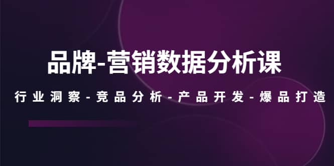 品牌-营销数据分析课，行业洞察-竞品分析-产品开发-爆品打造-先锋思维