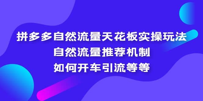 拼多多自然流量天花板实操玩法：自然流量推荐机制，如何开车引流等等-先锋思维