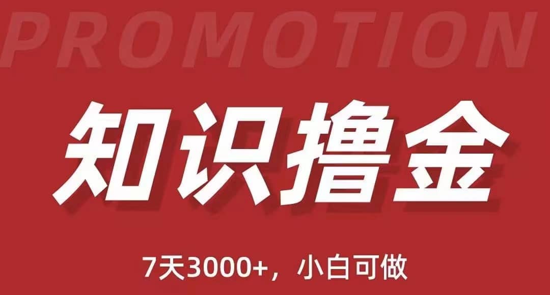 抖音知识撸金项目：执行力强当天见收益(教程 资料)-先锋思维