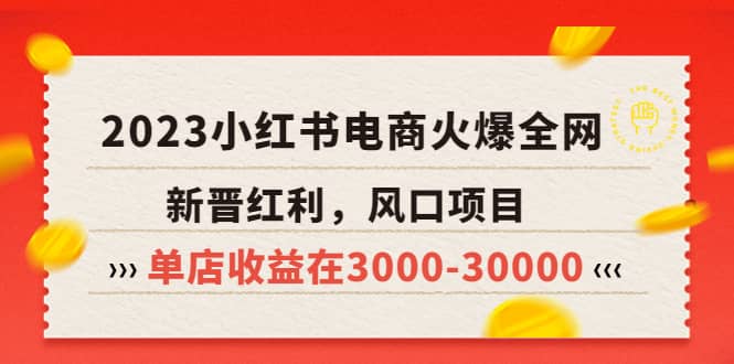 2023小红书电商火爆全网，新晋红利，风口项目，单店收益在3000-30000-先锋思维