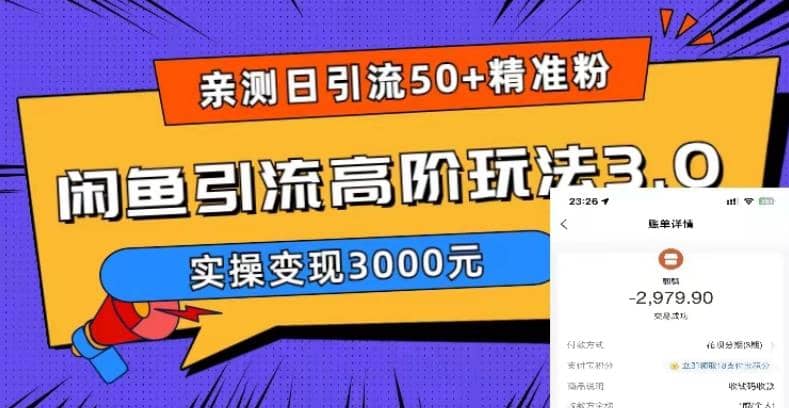 实测日引50 精准粉，闲鱼引流高阶玩法3.0，实操变现3000元-先锋思维