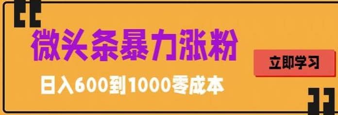 微头条暴力涨粉技巧搬运文案就能涨几万粉丝，简单0成本，日赚600-先锋思维