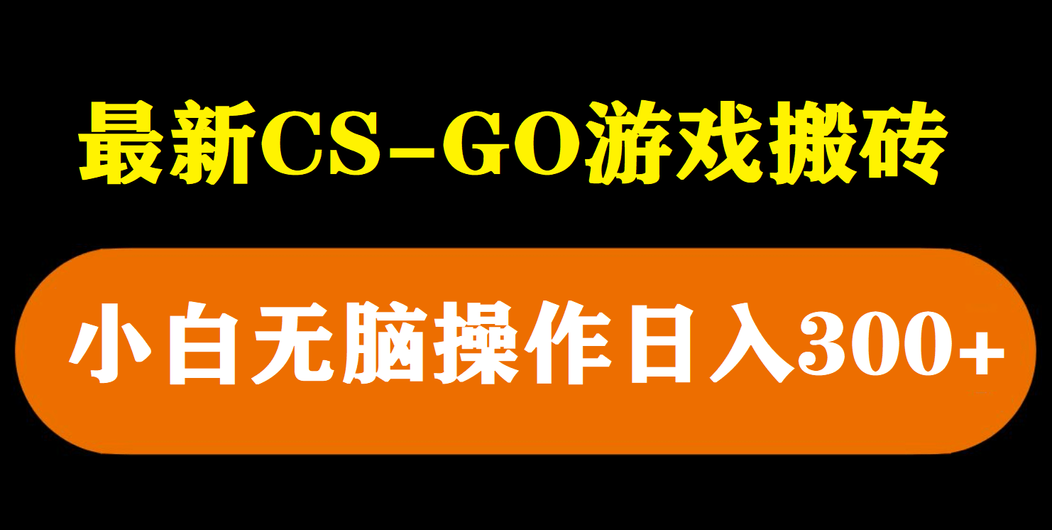 最新csgo游戏搬砖游戏，无需挂机小白无脑也能日入300-先锋思维
