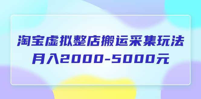 淘宝虚拟整店搬运采集玩法分享课：月入2000-5000元（5节课）-先锋思维