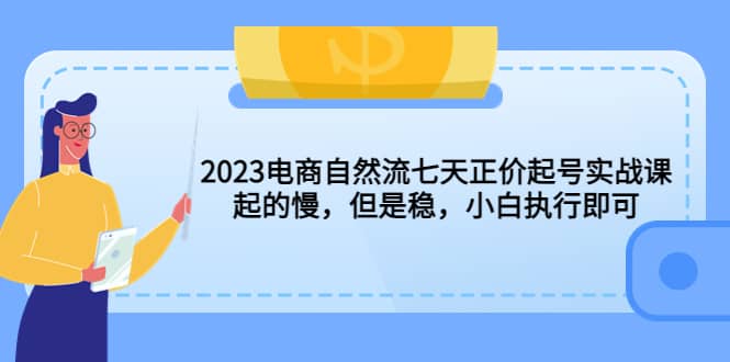 2023电商自然流七天正价起号实战课：起的慢，但是稳，小白执行即可-先锋思维