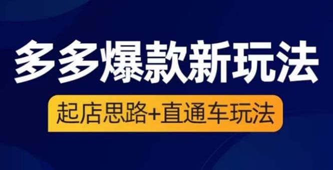 2023拼多多爆款·新玩法：起店思路 直通车玩法（3节精华课）-先锋思维