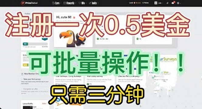 国外项目注册一次0.5美金 只需三分钟无脑操作 可批量放大 小白工作室福利-先锋思维