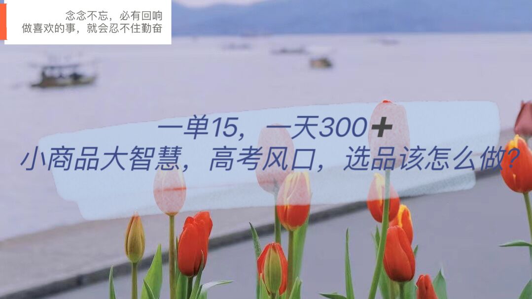 一单15，一天300 ，小商品大智慧，高考风口，选品该怎么布局-先锋思维