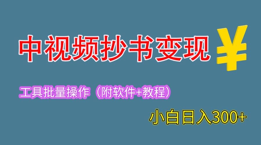 2023中视频抄书变现（附工具 教程），一天300 ，特别适合新手操作的副业-先锋思维