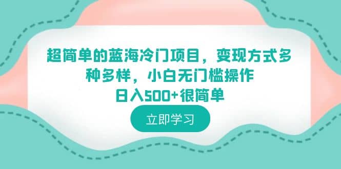 超简单的蓝海冷门项目，变现方式多种多样，小白无门槛操作日入500 很简单-先锋思维