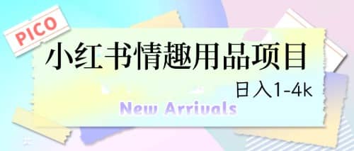 最新小红书情趣用品项目，日入1-4k-先锋思维