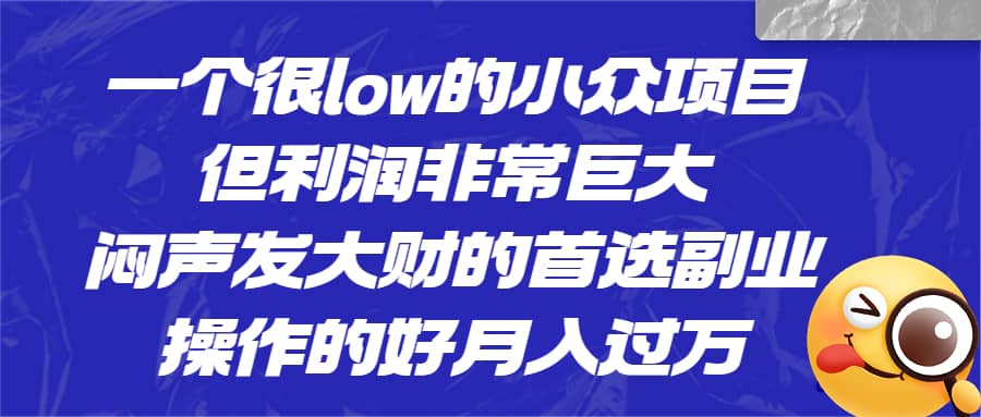 一个很low的小众项目，但利润非常巨大，闷声发大财的首选副业，月入过万-先锋思维