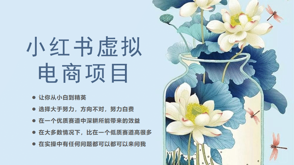 小红书虚拟电商从0到1，让你从小白到精英（20节实操课程）-先锋思维
