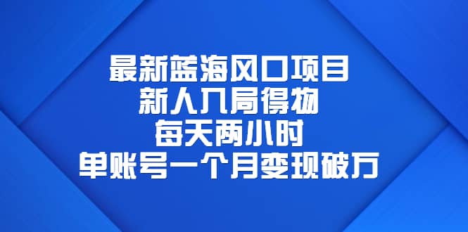 最新蓝海风口项目，新人入局得物，每天两小时，单账号一个月变现破万-先锋思维