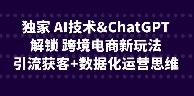 独家 AI技术ChatGPT解锁 跨境电商新玩法，引流获客 数据化运营思维-先锋思维