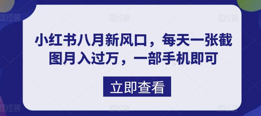 八月新风口，小红书虚拟项目一天收入1000 ，实战揭秘-先锋思维