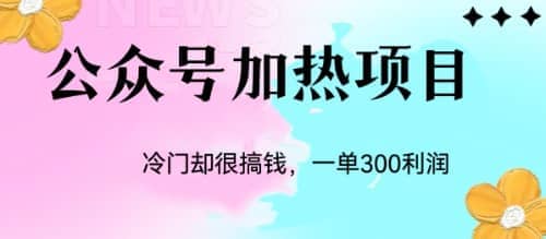 冷门公众号加热项目，一单利润300-先锋思维