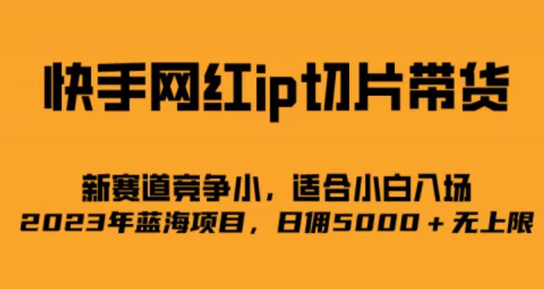 快手网红ip切片新赛道，竞争小事，适合小白 2023蓝海项目-先锋思维