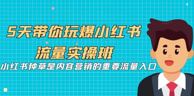 5天带你玩爆小红书流量实操班，小红书种草是内容营销的重要流量入口-先锋思维