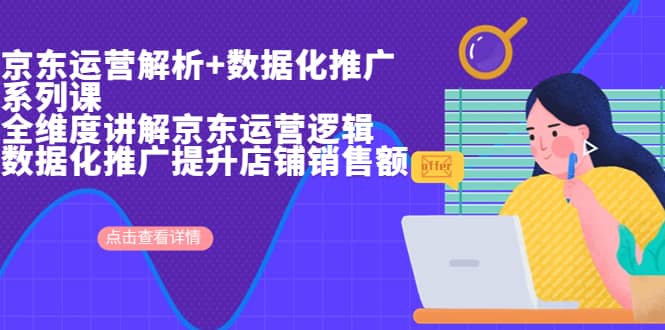 京东运营解析与数据化推广系列课，全维度讲解京东运营逻辑 数据化推广提升店铺销售额-先锋思维