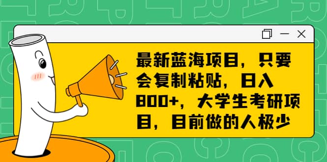 最新蓝海项目，只要会复制粘贴，日入800 ，大学生考研项目，目前做的人极少-先锋思维