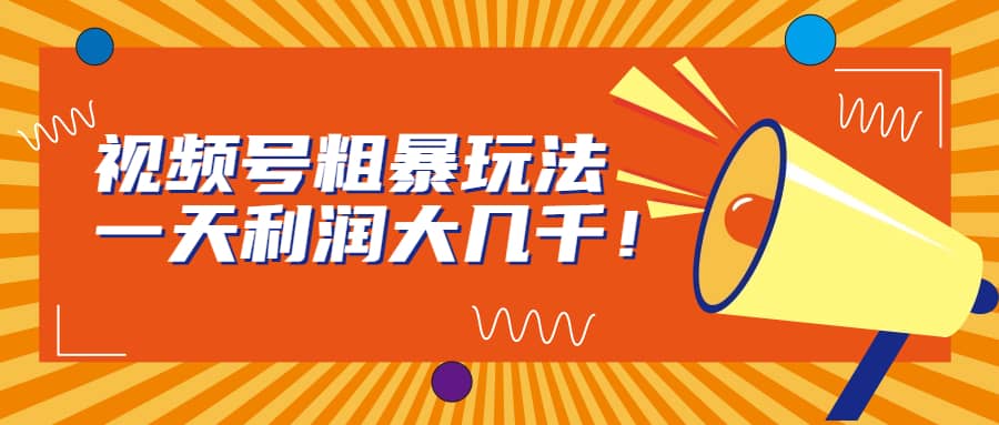 视频号粗暴玩法，一天利润大几千-先锋思维