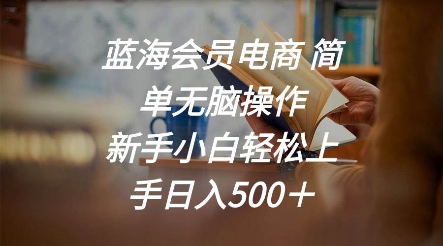 蓝海会员电商 简单无脑操作 新手小白轻松上手日入500＋-先锋思维
