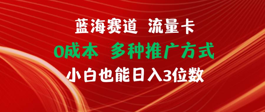 图片[1]-蓝海赛道 流量卡 0成本 小白也能日入三位数-先锋思维
