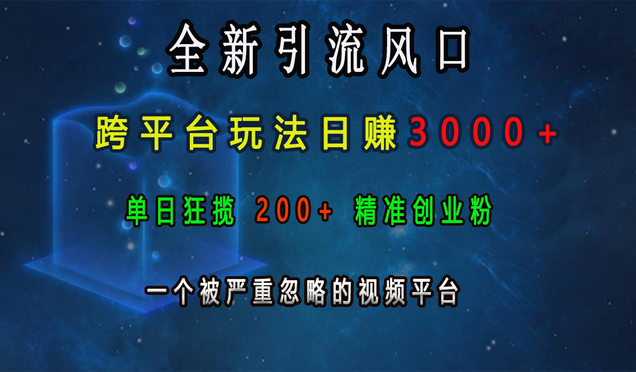 全新引流风口，跨平台玩法日赚3000+，单日狂揽200+精准创业粉，一个被严重忽略的视频平台-先锋思维