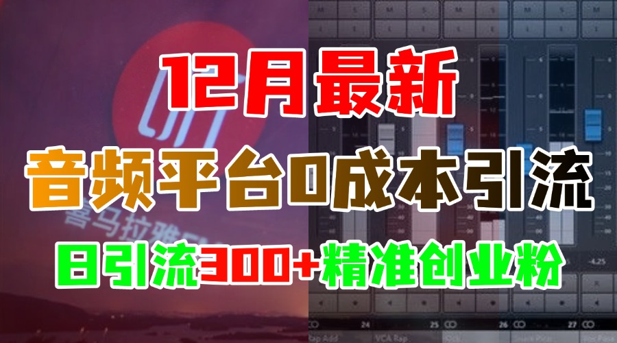 12月最新：音频平台0成本引流，日引300+精准创业粉-先锋思维