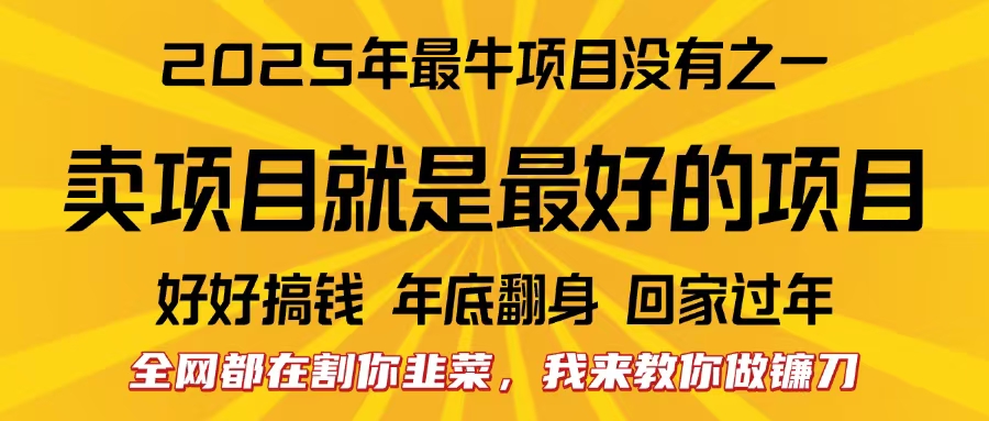 全网都在割你韭菜，我来教你做镰刀。卖项目就是最好的项目，2025年最牛互联网项目-先锋思维