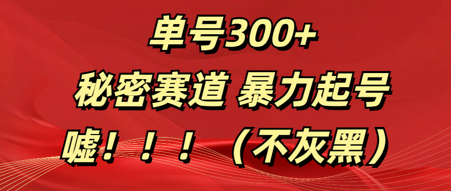 单号300+  秘密赛道 暴力起号  （不灰黑）-先锋思维