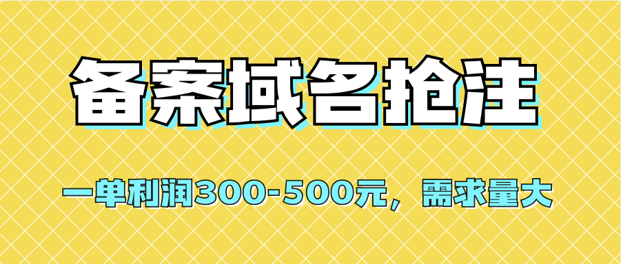【全网首发】备案域名抢注，一单利润300-500元，需求量大-先锋思维