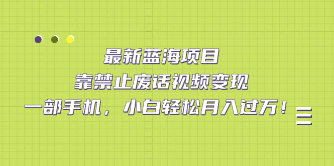 最新蓝海项目，靠禁止废话视频变现，一部手机，小白轻松月入过万！-先锋思维
