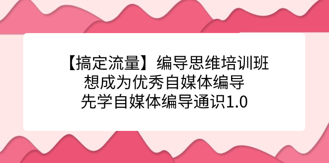 【搞定流量】编导思维培训班，想成为优秀自媒体编导先学自媒体编导通识1.0-先锋思维