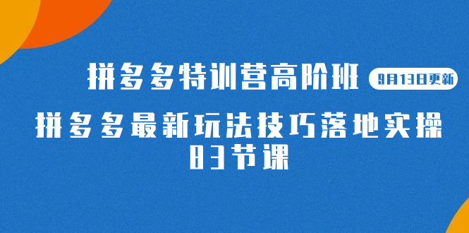 2023拼多多·特训营高阶班【9月13日更新】拼多多最新玩法技巧落地实操-83节-先锋思维