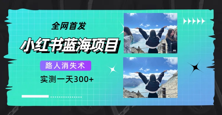 全网首发，小红书蓝海项目，路人消失术，实测一天300 （教程 工具）-先锋思维