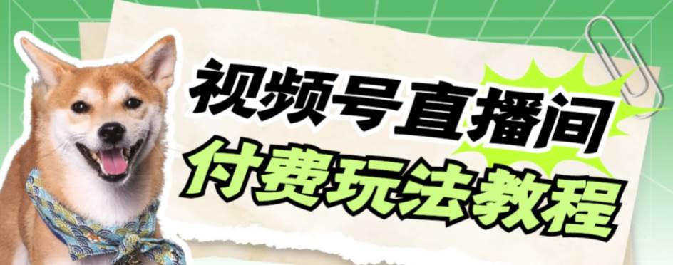 视频号美女付费无人直播，轻松日入500 【详细玩-先锋思维
