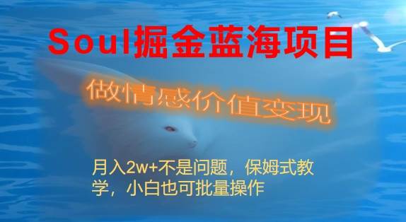 Soul掘金蓝海项目细分赛道，做情感价值变现，月入2w 不是问题-先锋思维