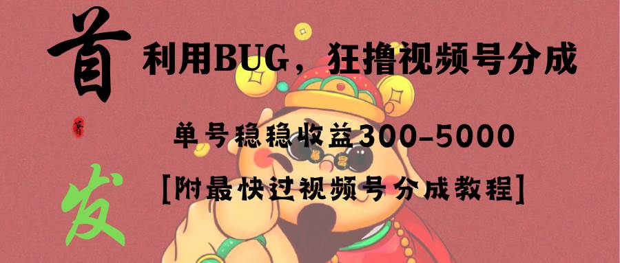 全网独家首发，视频号BUG，超短期项目，单号每日净收益300-5000！-先锋思维