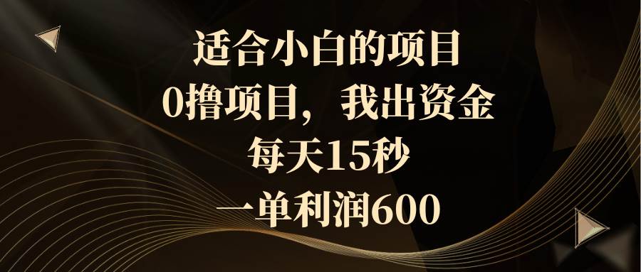 适合小白的项目，0撸项目，我出资金，每天15秒，一单利润600-先锋思维