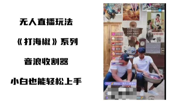 打海椒无人直播整蛊项目，小白轻松上手撸音浪收割器（教程 工具 素材）-先锋思维